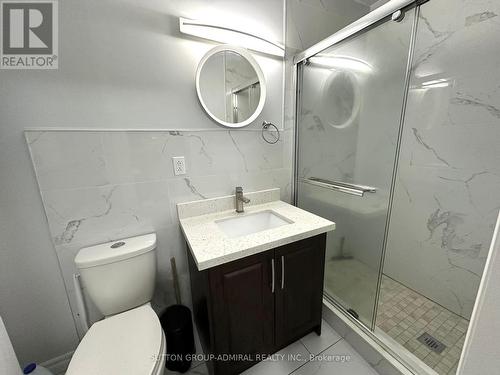 24 Tecumseth Street, Toronto, ON - Indoor Photo Showing Bathroom