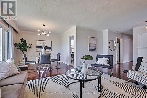 5 Porterfield Road, Toronto, ON - Indoor Photo Showing Living Room