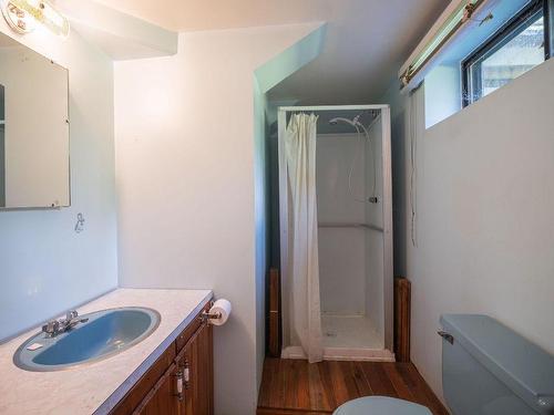 1338 Nichol Road, Revelstoke, BC - Indoor Photo Showing Bathroom