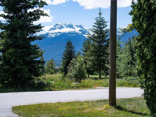 1338 Nichol Road, Revelstoke, BC - Outdoor With View