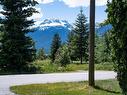1338 Nichol Road, Revelstoke, BC  - Outdoor With View 