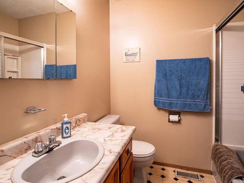1338 Nichol Road, Revelstoke, BC - Indoor Photo Showing Bathroom