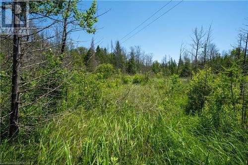 251 Shoreline Avenue, Oliphant, ON - Outdoor With View