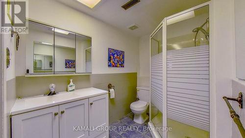 91 Fergus Avenue, Richmond Hill, ON - Indoor Photo Showing Bathroom