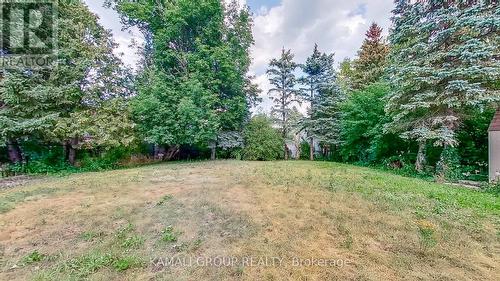 91 Fergus Avenue, Richmond Hill, ON - Outdoor