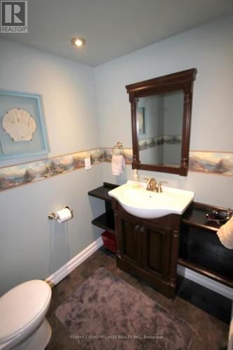 19 North Taylor Road, Kawartha Lakes, ON - Indoor Photo Showing Bathroom