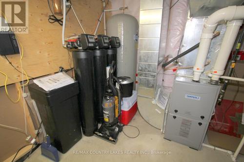 19 North Taylor Road, Kawartha Lakes, ON - Indoor Photo Showing Basement