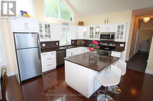 19 North Taylor Road, Kawartha Lakes, ON - Indoor Photo Showing Kitchen With Double Sink With Upgraded Kitchen