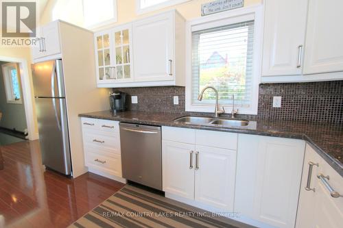 19 North Taylor Road, Kawartha Lakes, ON - Indoor Photo Showing Kitchen With Double Sink With Upgraded Kitchen