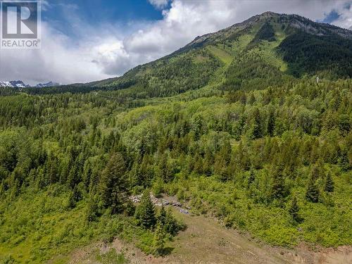 200 Burma Road Unit# Lot 8, Fernie, BC 