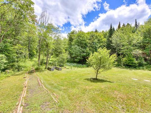 Cour - 208 Ch. Godefroy, Sainte-Anne-Des-Lacs, QC - Outdoor With View