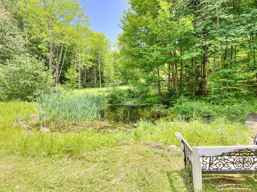 Back facade - 208 Ch. Godefroy, Sainte-Anne-Des-Lacs, QC - Outdoor