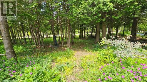 33 Whiskey Harbour Road, Northern Bruce Peninsula, ON - Outdoor With In Ground Pool With Backyard