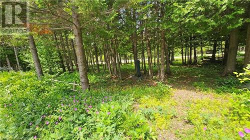 33 Whiskey Harbour Road, Northern Bruce Peninsula, ON - Outdoor With In Ground Pool With Backyard