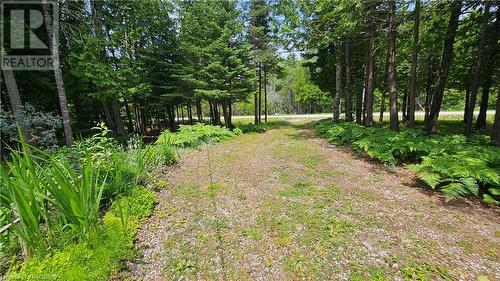 33 Whiskey Harbour Road, Northern Bruce Peninsula, ON - Outdoor With In Ground Pool