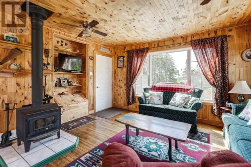 22 Argentia Line, Placentia Junction, NL - Indoor Photo Showing Living Room With Fireplace