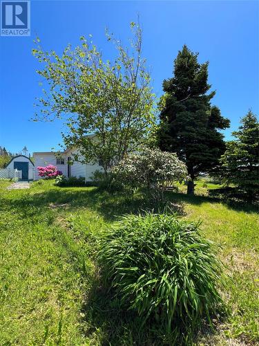 2 Marchs Road, Greens Harbour, NL - Outdoor