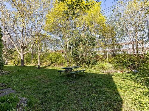 Backyard - 5895 Rue Desaulniers, Montréal (Mercier/Hochelaga-Maisonneuve), QC - Outdoor