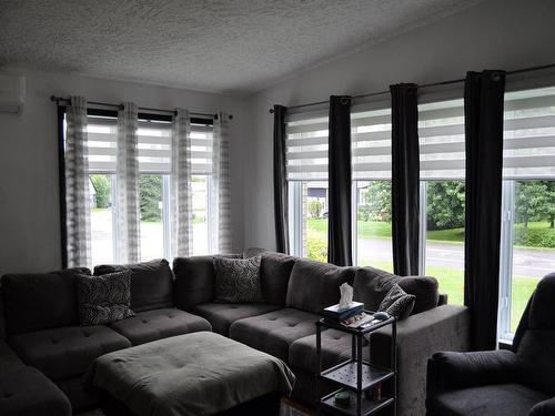 Salon - 355 Rue Sacré Coeur, Upton, QC - Indoor Photo Showing Living Room