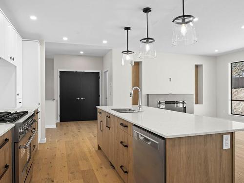 3453 Navatanee Drive, Kamloops, BC - Indoor Photo Showing Kitchen With Double Sink With Upgraded Kitchen