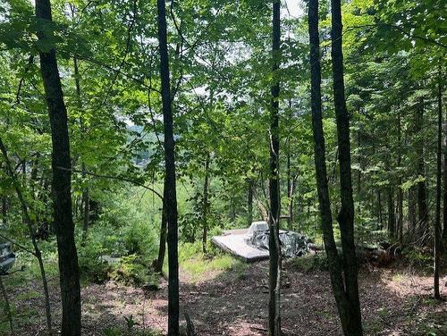 Land/Lot - 222 Ch. Du Lac-De-L'Oasis N., Saint-Léonard-De-Portneuf, QC 