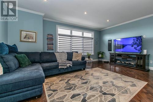 67 Julieann Place, St. John'S, NL - Indoor Photo Showing Living Room