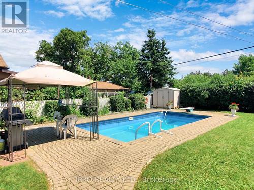 49 Allenby Avenue, Toronto, ON - Outdoor With In Ground Pool With Backyard