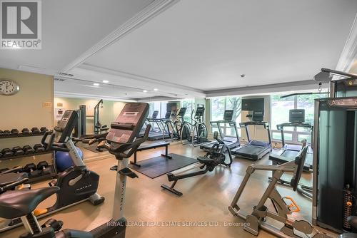 811 - 18 William Carson Crescent, Toronto, ON - Indoor Photo Showing Gym Room