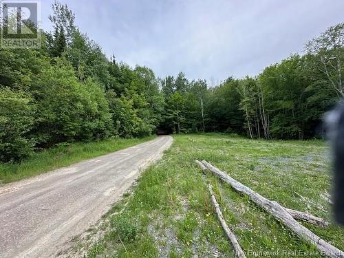 Lot 10 Woods Rd Mccormack Brook, Balmoral, NB - Outdoor