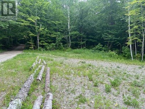 Lot 10 Woods Rd Mccormack Brook, Balmoral, NB - Outdoor