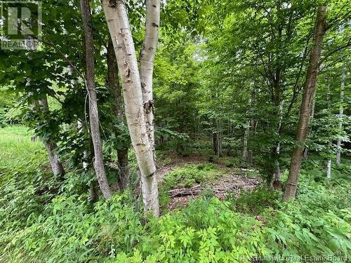 Lot 10 Woods Rd Mccormack Brook, Balmoral, NB - Outdoor