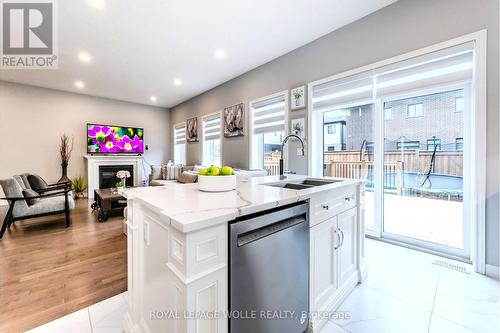 55 Spachman Street, Kitchener, ON - Indoor Photo Showing Kitchen With Fireplace With Double Sink