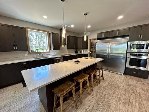 30126 48E Road, Marchand, MB - Indoor Photo Showing Kitchen With Upgraded Kitchen