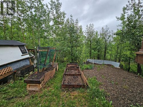 4420 Baldy Way, Chetwynd, BC - Outdoor