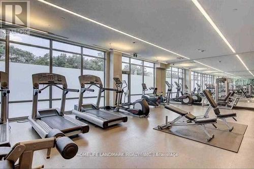 203 - 52 Forest Manor Road, Toronto, ON - Indoor Photo Showing Gym Room