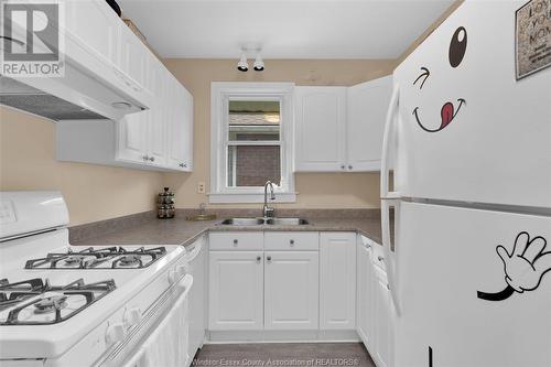1535 Goyeau Street, Windsor, ON - Indoor Photo Showing Kitchen With Double Sink