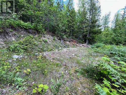 20-9000 Seymour Main Lot# 20, Seymour Arm, BC - Outdoor