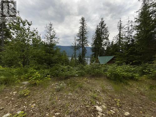 20-9000 Seymour Main Lot# 20, Seymour Arm, BC - Outdoor With View