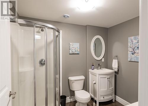 2 Mountain View Drive, Holyrood, NL - Indoor Photo Showing Bathroom