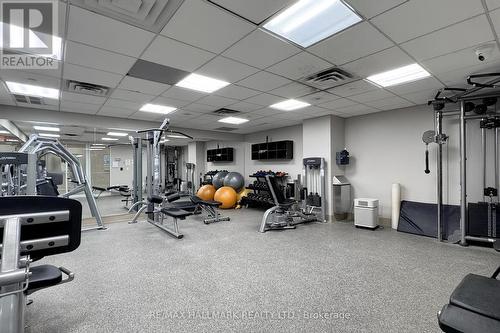Lph05 - 660 Sheppard Avenue E, Toronto, ON - Indoor Photo Showing Gym Room