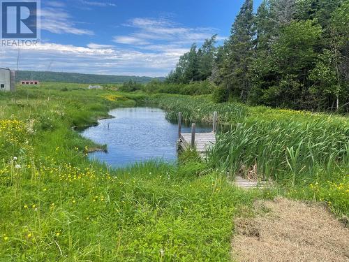 20 Forest Road, Northern Arm, NL 