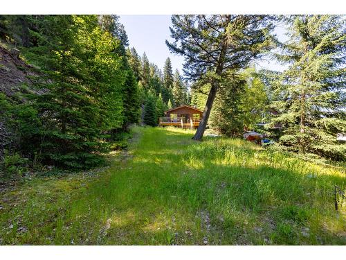 6541 Marvel Road, Wasa, BC - Outdoor