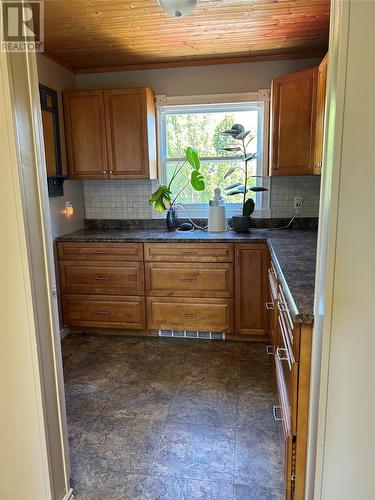 66 Kitchen'S Hill, Harbour Grace, NL - Indoor Photo Showing Kitchen With Double Sink