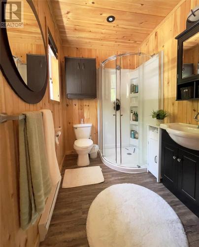 4 Aspen Valley Lane, Glovertown South, NL - Indoor Photo Showing Bathroom