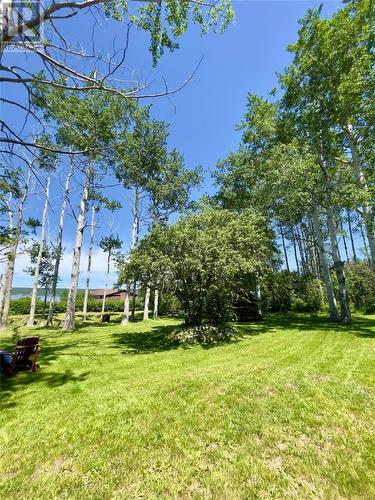 4 Aspen Valley Lane, Glovertown South, NL - Outdoor With View