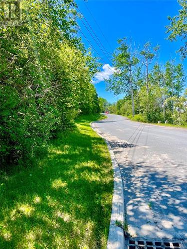 4 Aspen Valley Lane, Glovertown South, NL - Outdoor With View