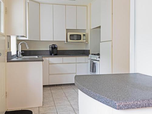 217 Pyper Way, Kamloops, BC - Indoor Photo Showing Kitchen