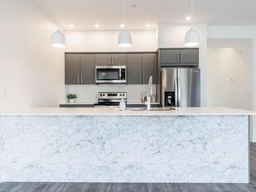 114-8960 Dallas Drive, Kamloops, BC - Indoor Photo Showing Kitchen With Stainless Steel Kitchen With Upgraded Kitchen