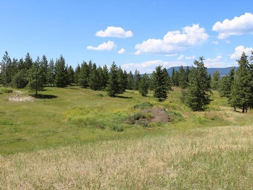 2141 Schamps Road, Kamloops, BC - Outdoor With View