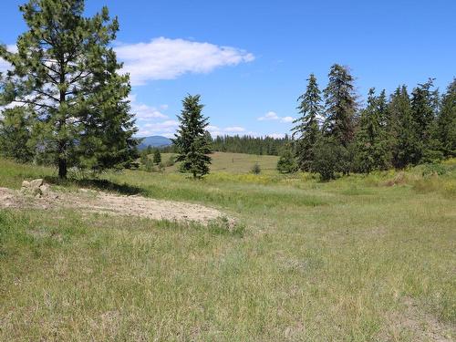 2141 Schamps Road, Kamloops, BC - Outdoor With View